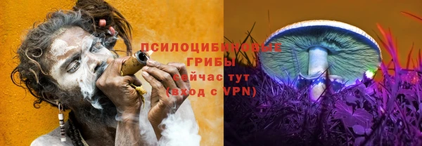 бутират Алзамай