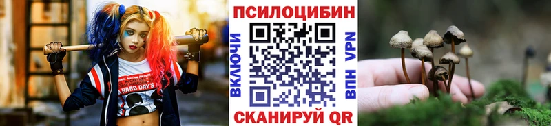 Галлюциногенные грибы Cubensis где купить наркотик мориарти Telegram Новотитаровская